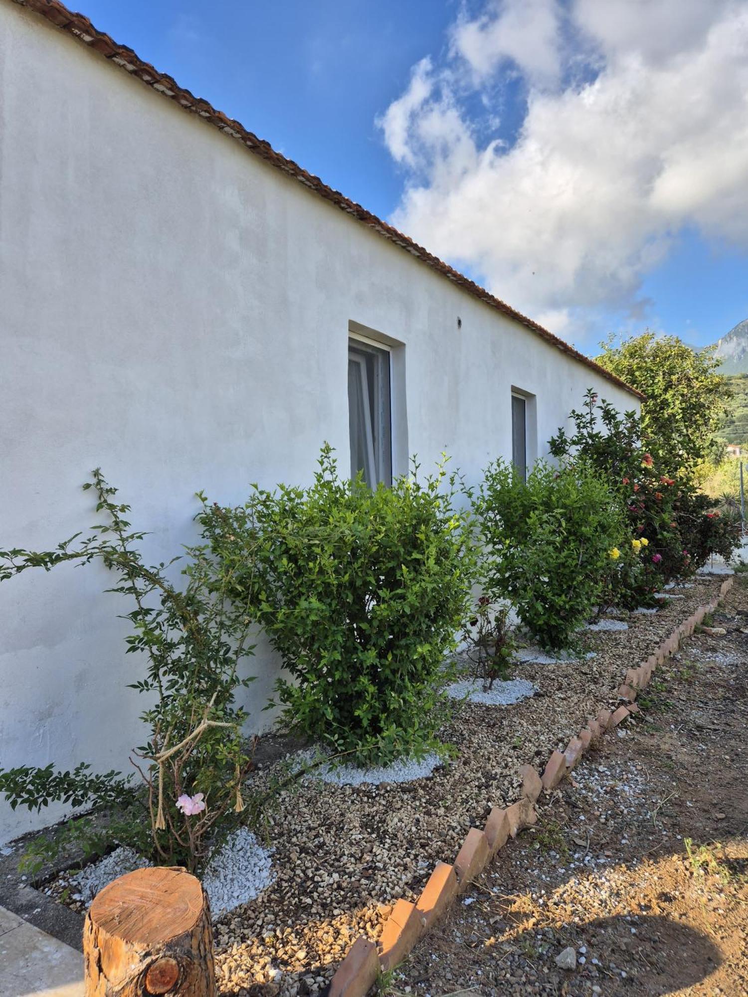 Villa Elvira Country House Belvedere Marittimo Exterior foto